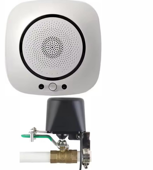 2-in-1 Gas Sensor and Gas Valve