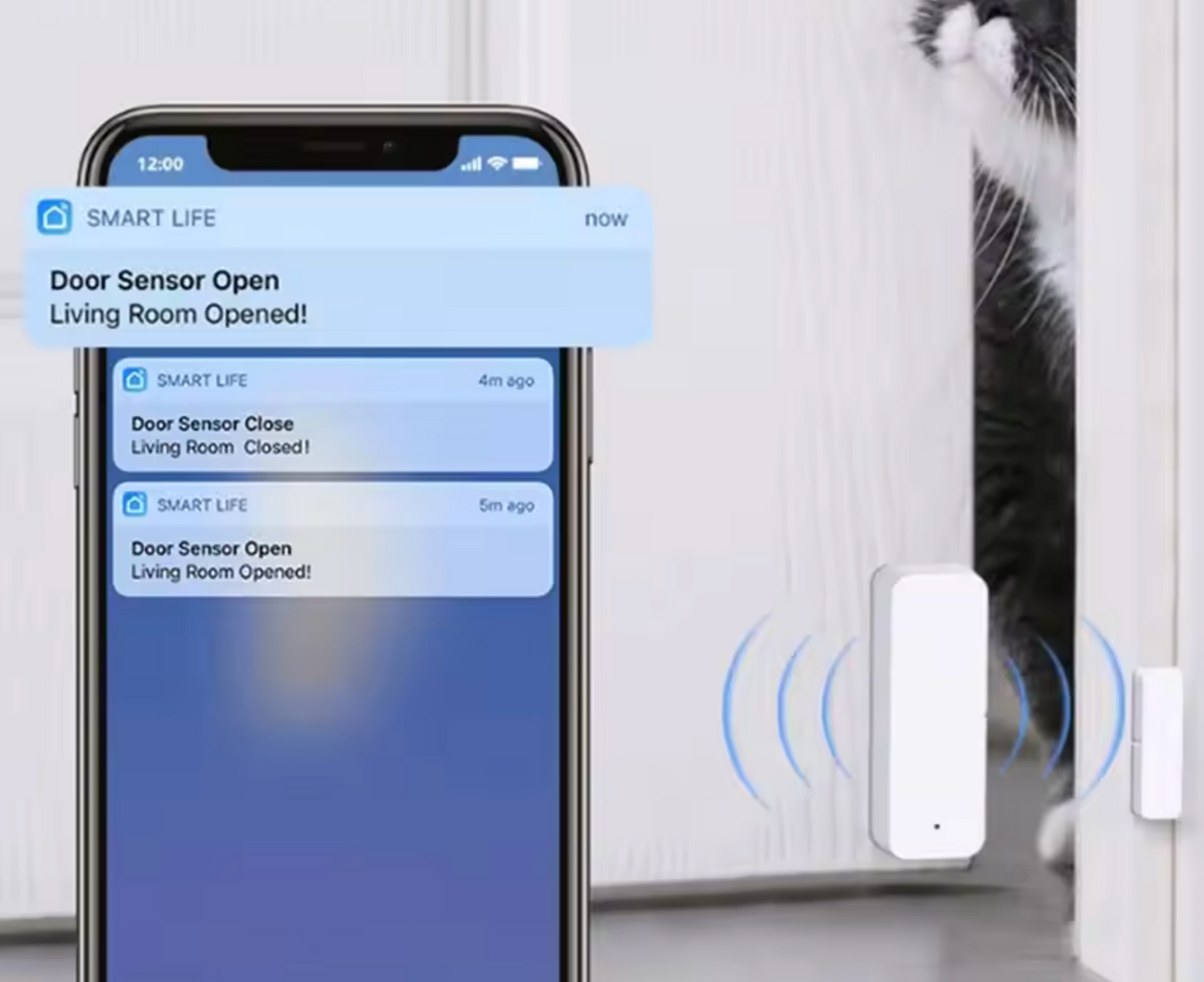 Door and Window Sensor - WiFi